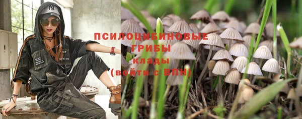 твердый Волоколамск